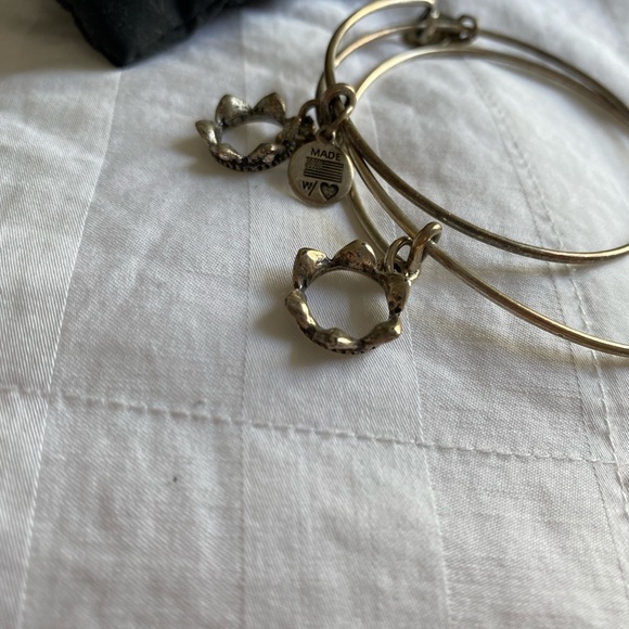 Alex and Ani Silver Crown Bracelet 👑 - Picture 10 of 10